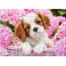 PUZZLE 180 - CATELUS INTRE FLORI - CA018185 PUZZLE 180 - CATELUS INTRE FLORI - CA018185