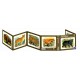 CARTE PLIANTA - ANIMALE SALBATICE DIN AMERICA - 73204