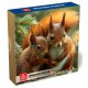 PUZZLE LEMN 50 PCS - VEVERITA - 15488