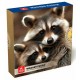 PUZZLE LEMN 50 PCS - RATON - 15495